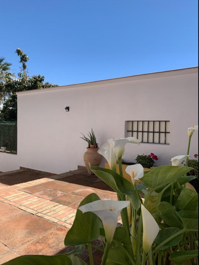 A Estrenar Preciosa Suite-Centrico-Con Jardin Y Porche トレモリノス エクステリア 写真